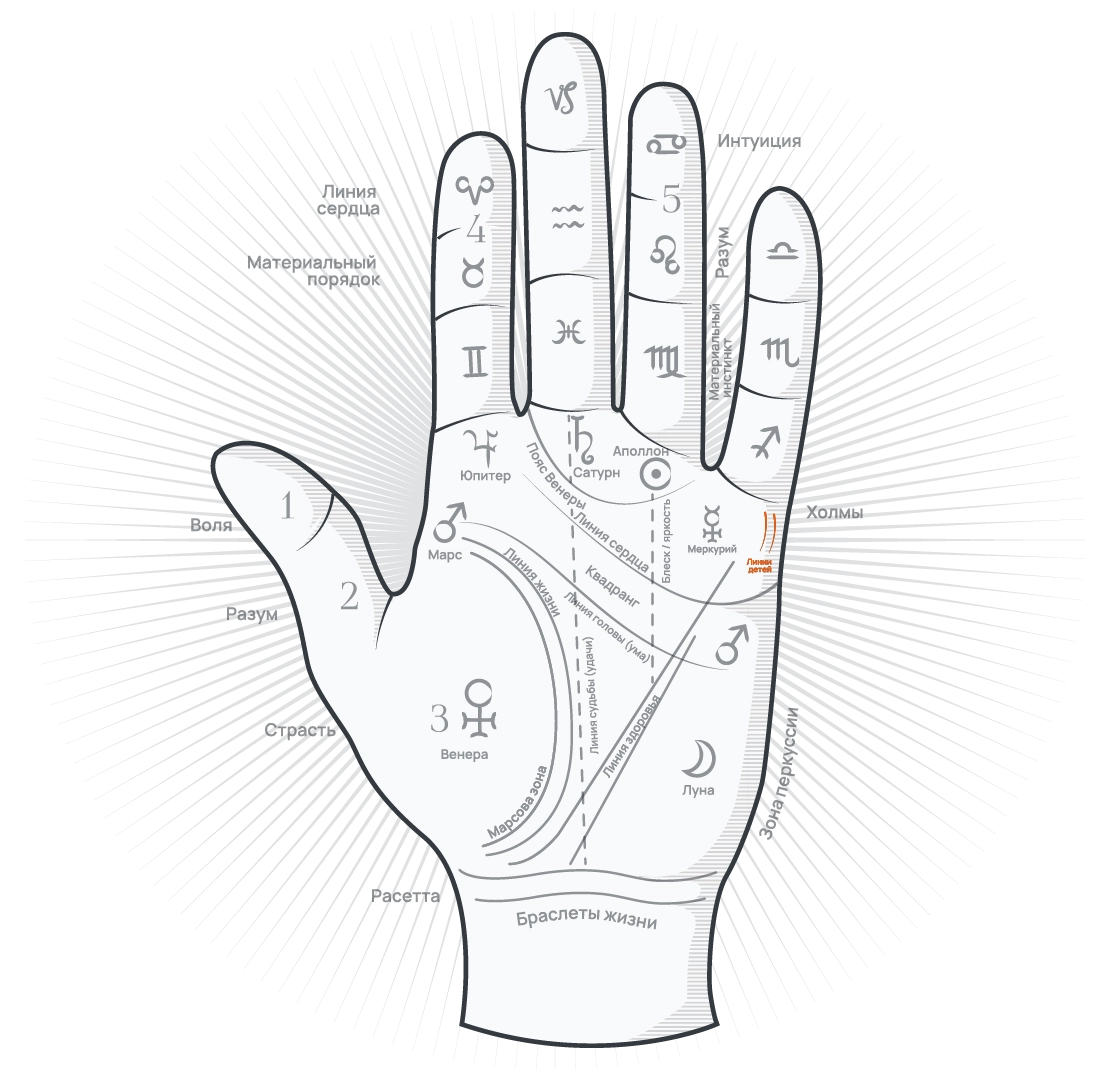 Линии детей