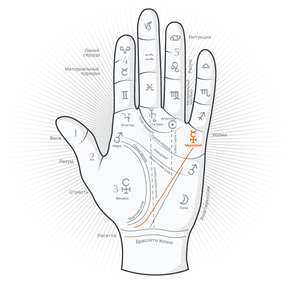 Линия Меркурия