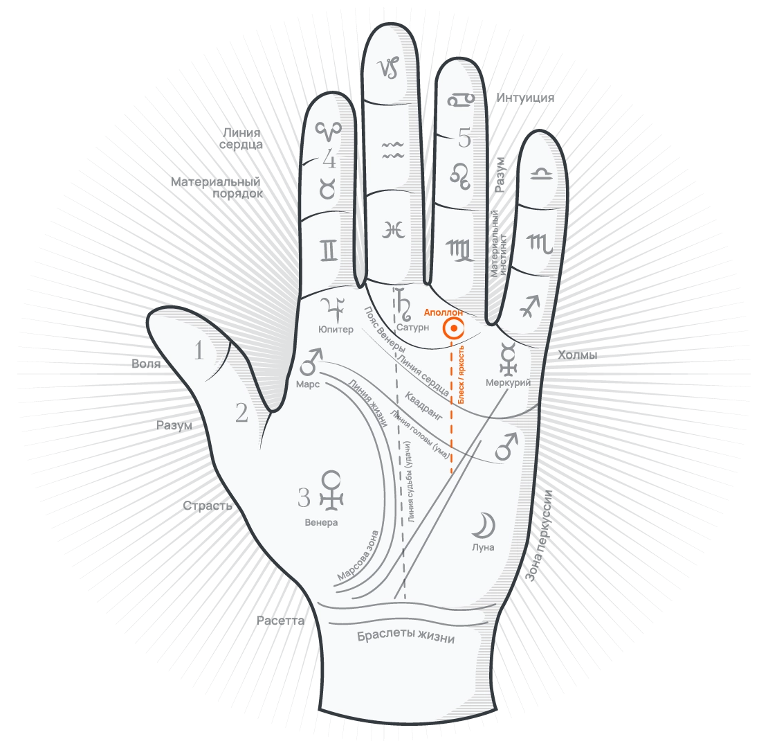 Линия солнца