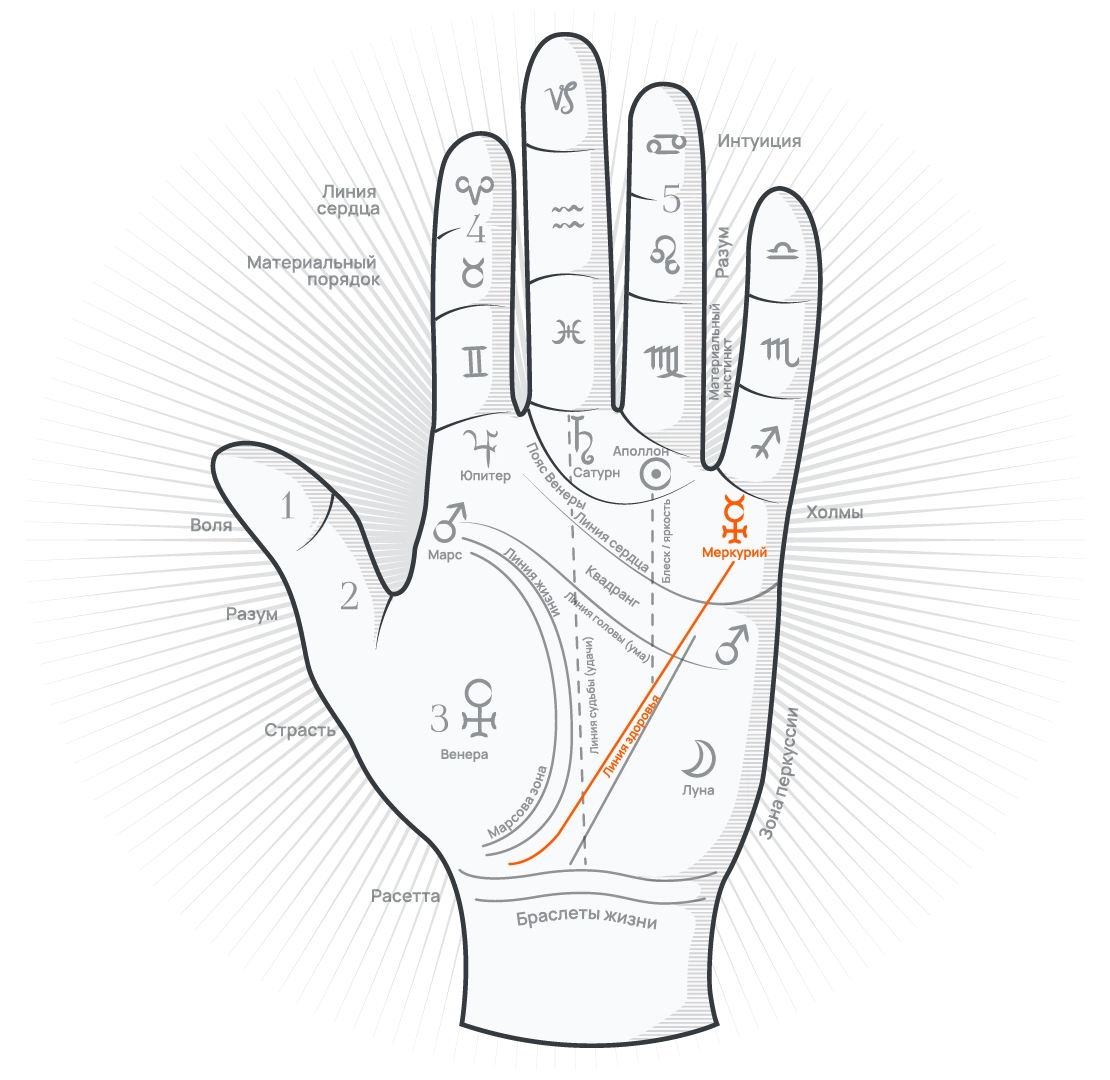 Линия здоровья