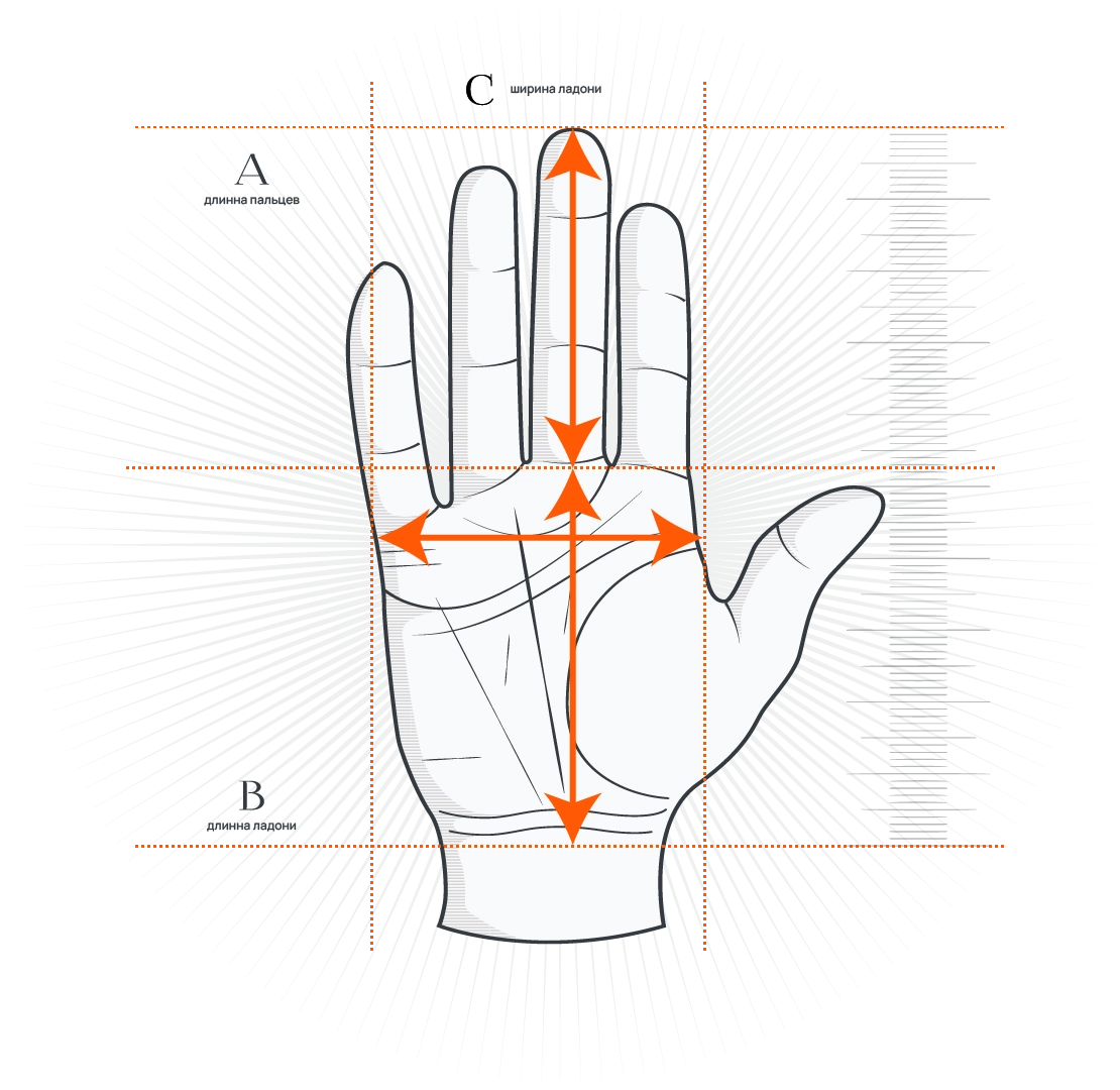 как определить тип руки - хиромантия AISTRO